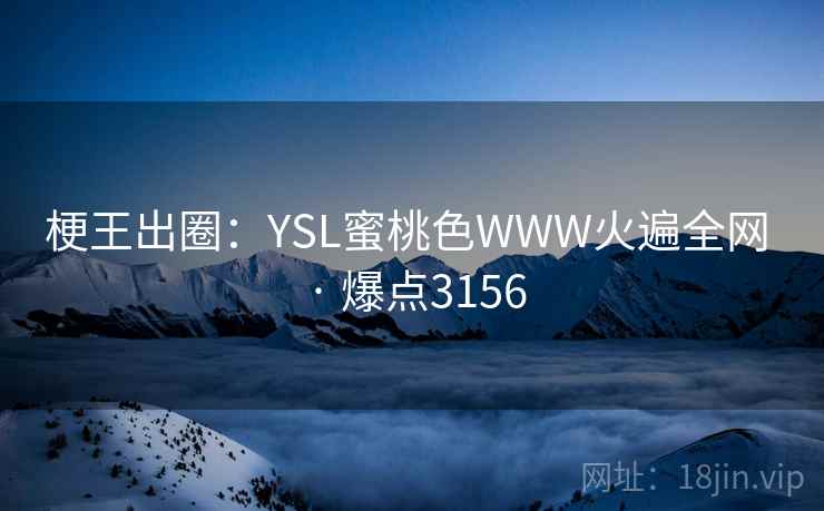 梗王出圈:YSL蜜桃色WWW火遍全网 · 爆点3156