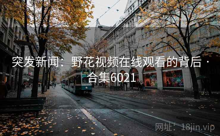 突发新闻：野花视频在线观看的背后 · 合集6021