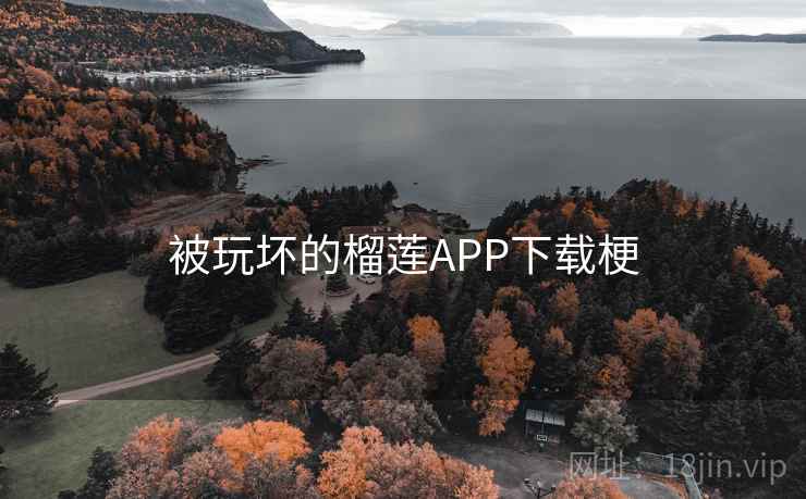 被玩坏的榴莲APP下载梗